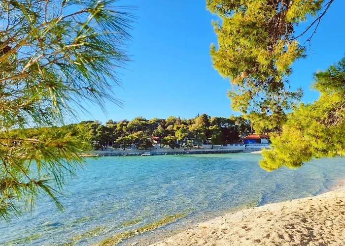 Sweet - Complet Camping *
